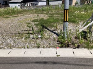 秋田市手形、土地の画像です