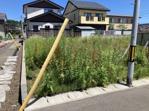 秋田市手形、土地の画像です