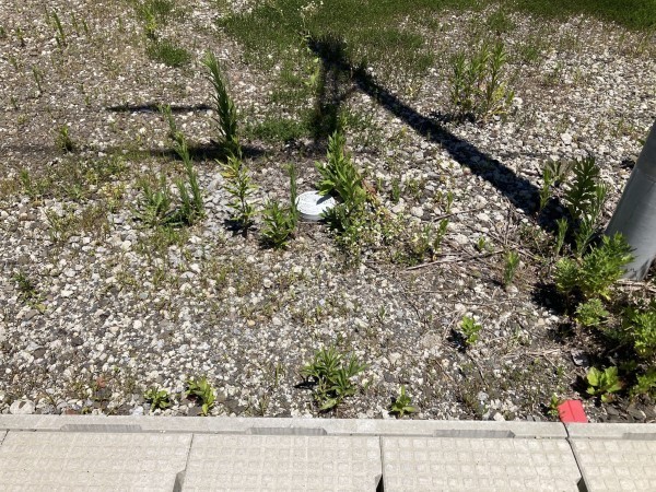 秋田市手形、土地の画像です