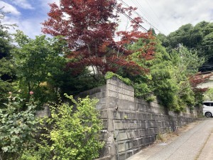 秋田市寺内児桜、土地の画像です
