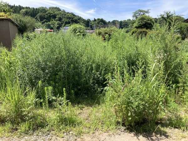 秋田市東通明田、土地の画像です