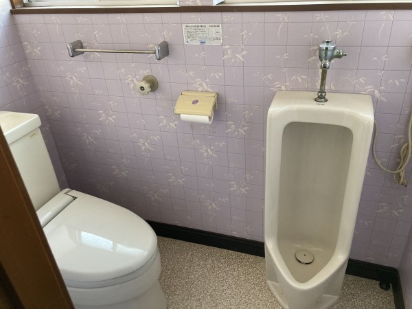 秋田市飯島道東、中古一戸建てのトイレ画像です