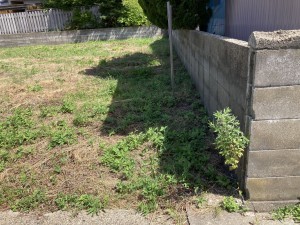 秋田市広面、土地の画像です
