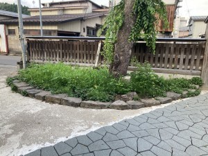 仙北市角館町西勝楽町、中古一戸建ての画像です