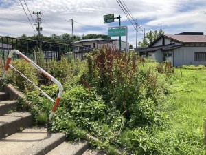 秋田市牛島東、土地の画像です