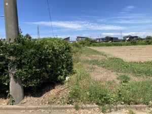 秋田市仁井田、土地の画像です