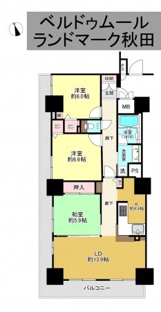 秋田市中通、マンションの間取り画像です