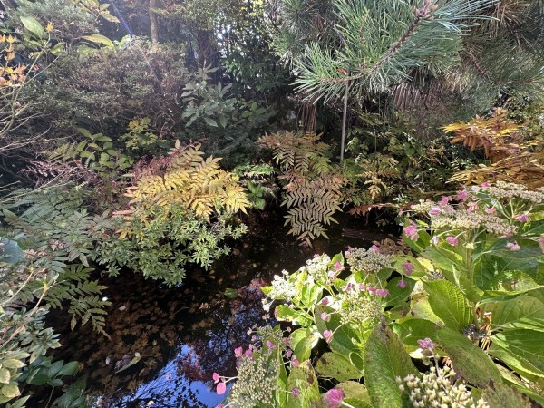 秋田市広面、中古一戸建ての画像です