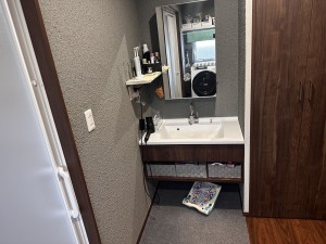 由利本荘市中梵天、中古一戸建ての洗面画像です