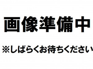 秋田市保戸野金砂町、中古一戸建ての間取り画像です