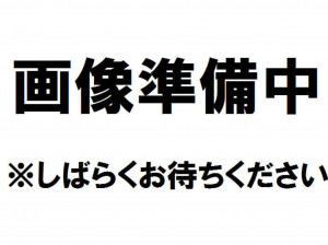 秋田市牛島東、収益物件/住宅の間取り画像です