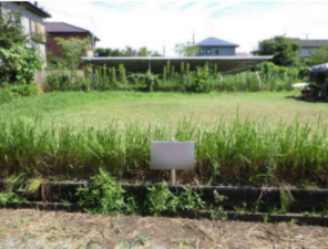 茂原市大芝、土地の外観画像です