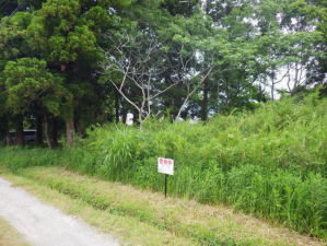 茂原市法目、土地の画像です
