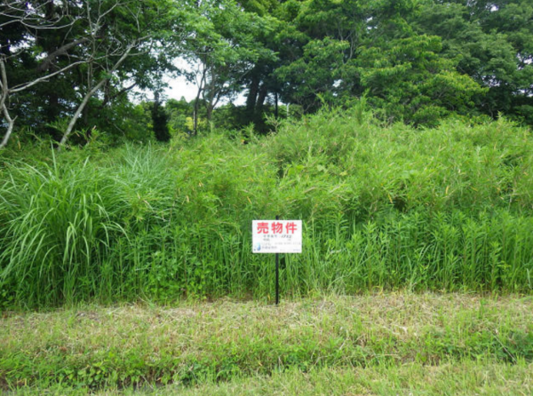茂原市法目、土地の画像です