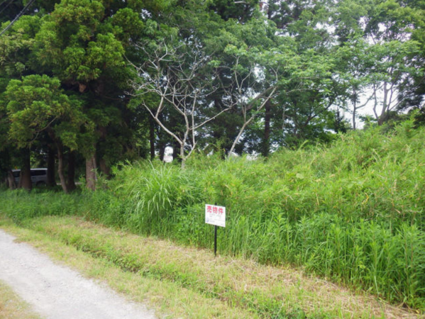 茂原市法目、土地の画像です