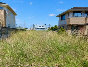 大網白里市南今泉、土地の画像です