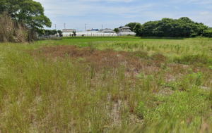 大網白里市四天木、土地の間取り画像です