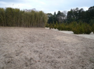 茂原市千沢、土地の外観画像です