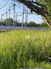 茂原市大芝、土地のその他画像です