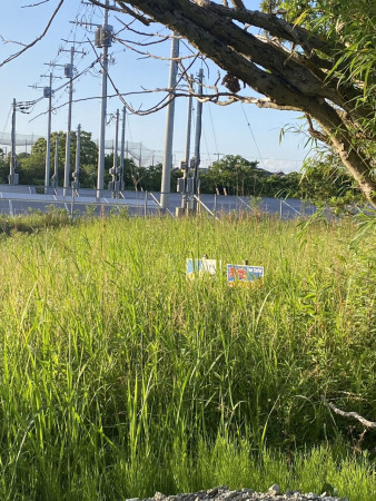 茂原市大芝、土地のその他画像です