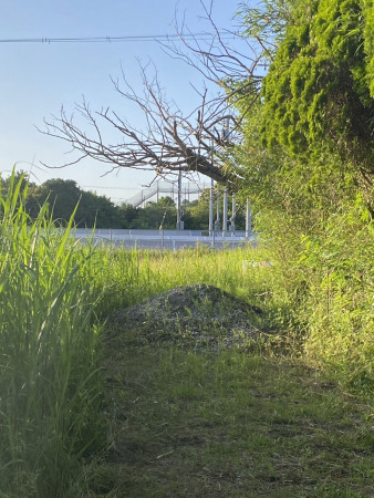 茂原市大芝、土地のその他画像です