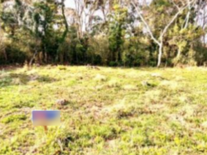 大網白里市細草、土地の外観画像です