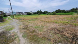 大網白里市富田、土地の画像です