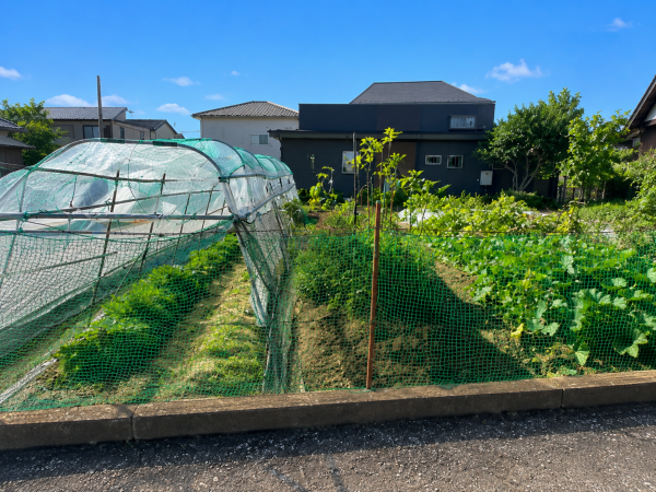 大網白里市南横川、土地の画像です
