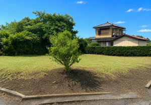 大網白里市上谷新田、土地の画像です