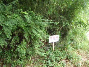 茂原市弓渡、土地のその他画像です