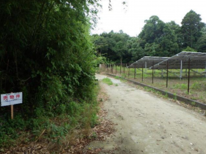 茂原市弓渡、土地のその他画像です