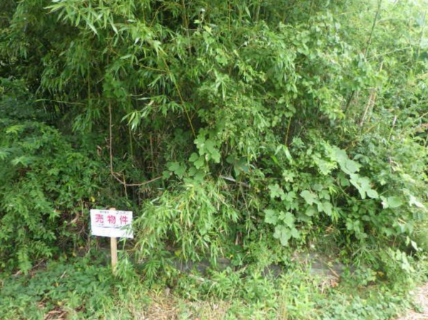 茂原市弓渡、土地のその他画像です