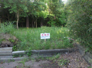 大網白里市上谷新田、土地のその他画像です