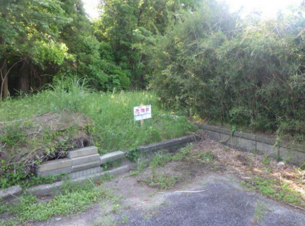 大網白里市上谷新田、土地のその他画像です