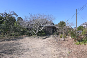 大網白里市四天木、土地のその他画像です