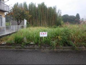茂原市長尾、土地の画像です