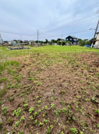 茂原市東郷、土地のその他画像です
