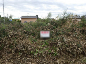 茂原市粟生野、土地の画像です