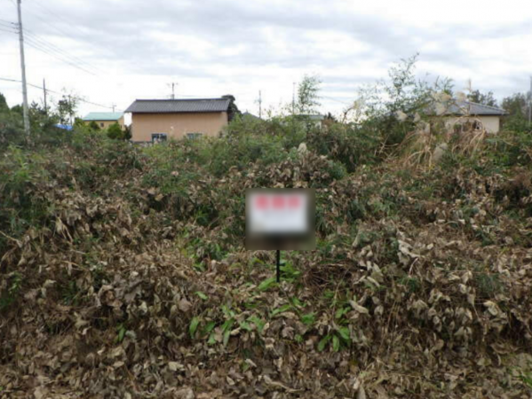 茂原市粟生野、土地の画像です