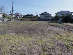 大網白里市南今泉、土地の画像です