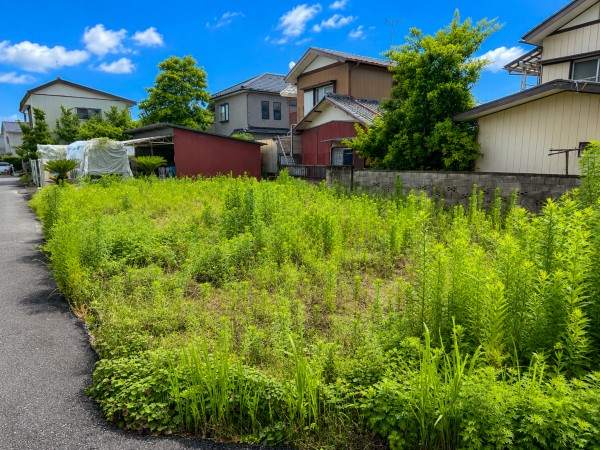 茂原市東郷、土地の画像です