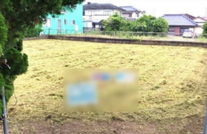 大網白里市四天木、土地の画像です