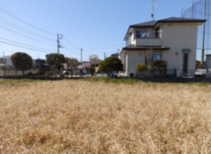 茂原市大芝、土地のその他画像です