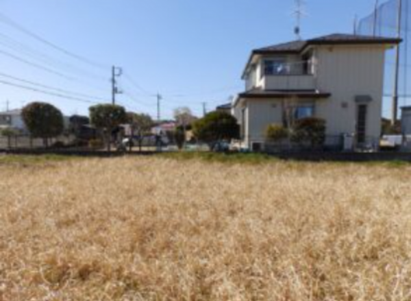 茂原市大芝、土地のその他画像です
