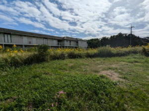 茂原市七渡、土地のその他画像です