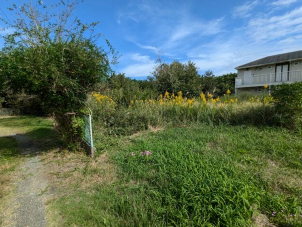 茂原市七渡、土地のその他画像です