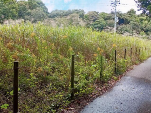 茂原市本小轡、土地のその他画像です