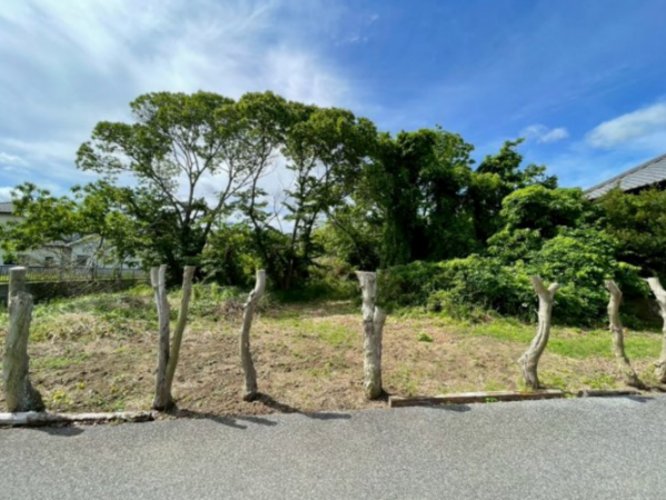 茂原市早野新田、土地のその他画像です