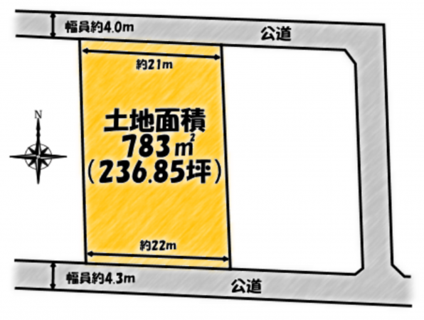 茂原市早野新田、土地の間取り画像です