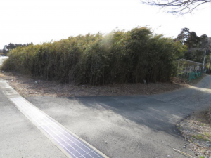 大網白里市細草、土地の画像です